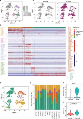 Single-Cell Transcriptome Analysis Identifies Ligand–Receptor Pairs Associated With BCP-ALL Prognosis